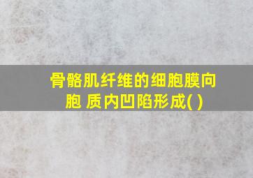 骨骼肌纤维的细胞膜向胞 质内凹陷形成( )